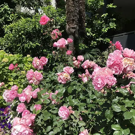 Hotel Franca Nago-Torbole